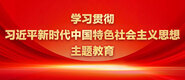 男生插入女生后面学习贯彻习近平新时代中国特色社会主义思想主题教育_fororder_ad-371X160(2)